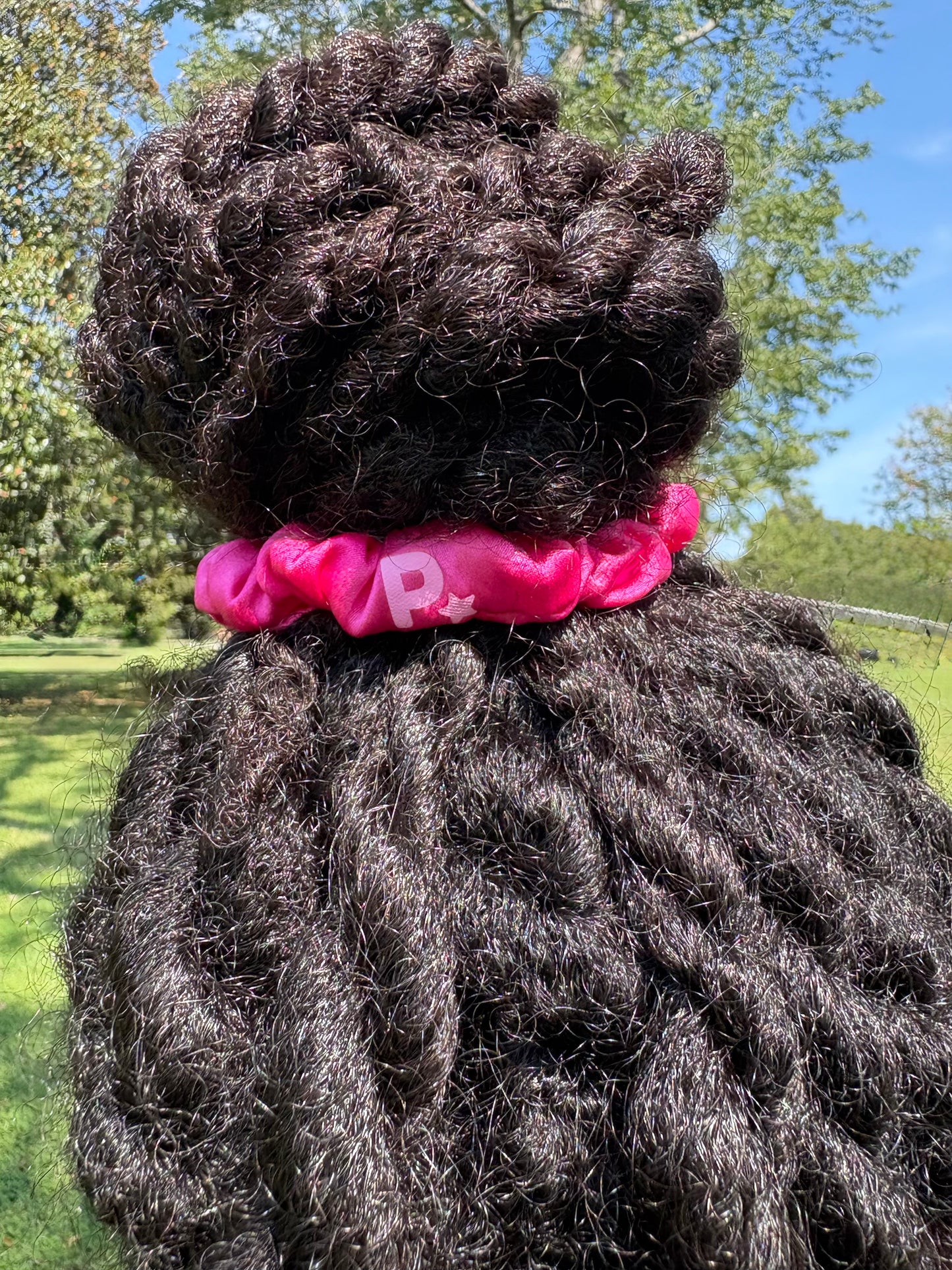 Pink Diamond Stretch Silk Midi Scrunchie